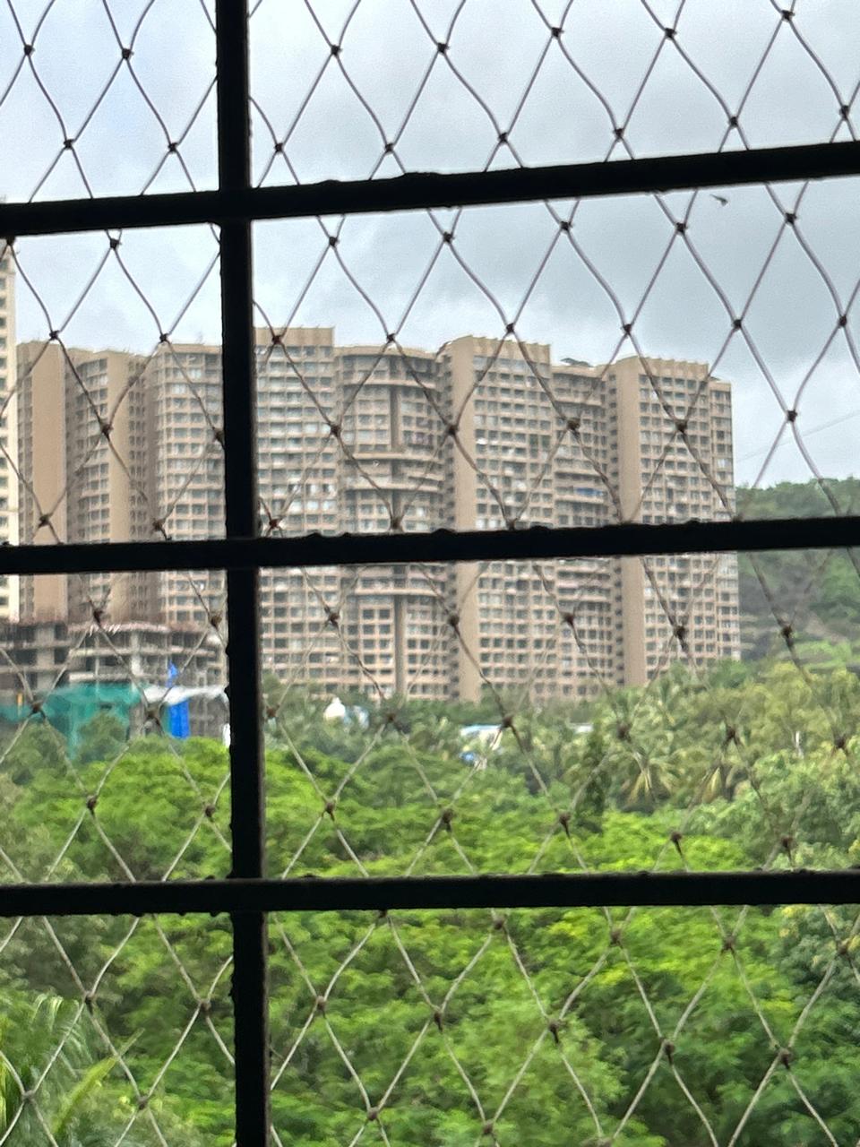 Window view